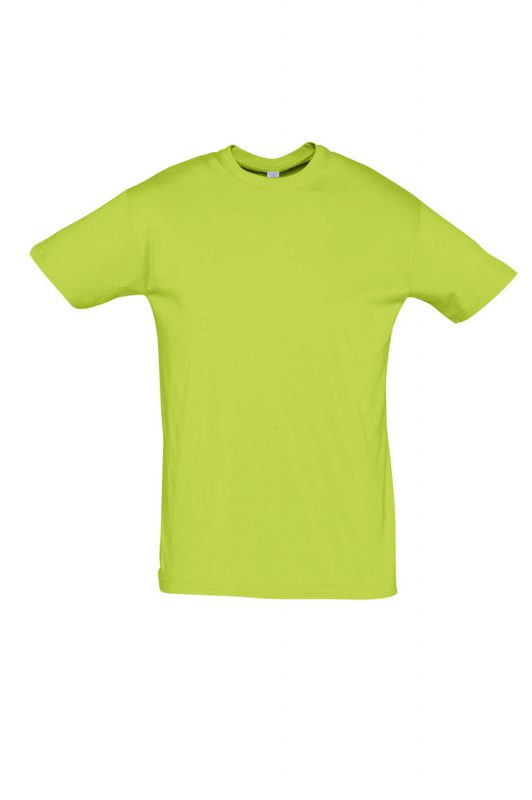 Comprar Camiseta Regent verde Barata
